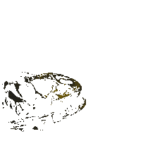 Illustration Dinosaur Sticker