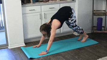 rebeccasuehicks  GIF
