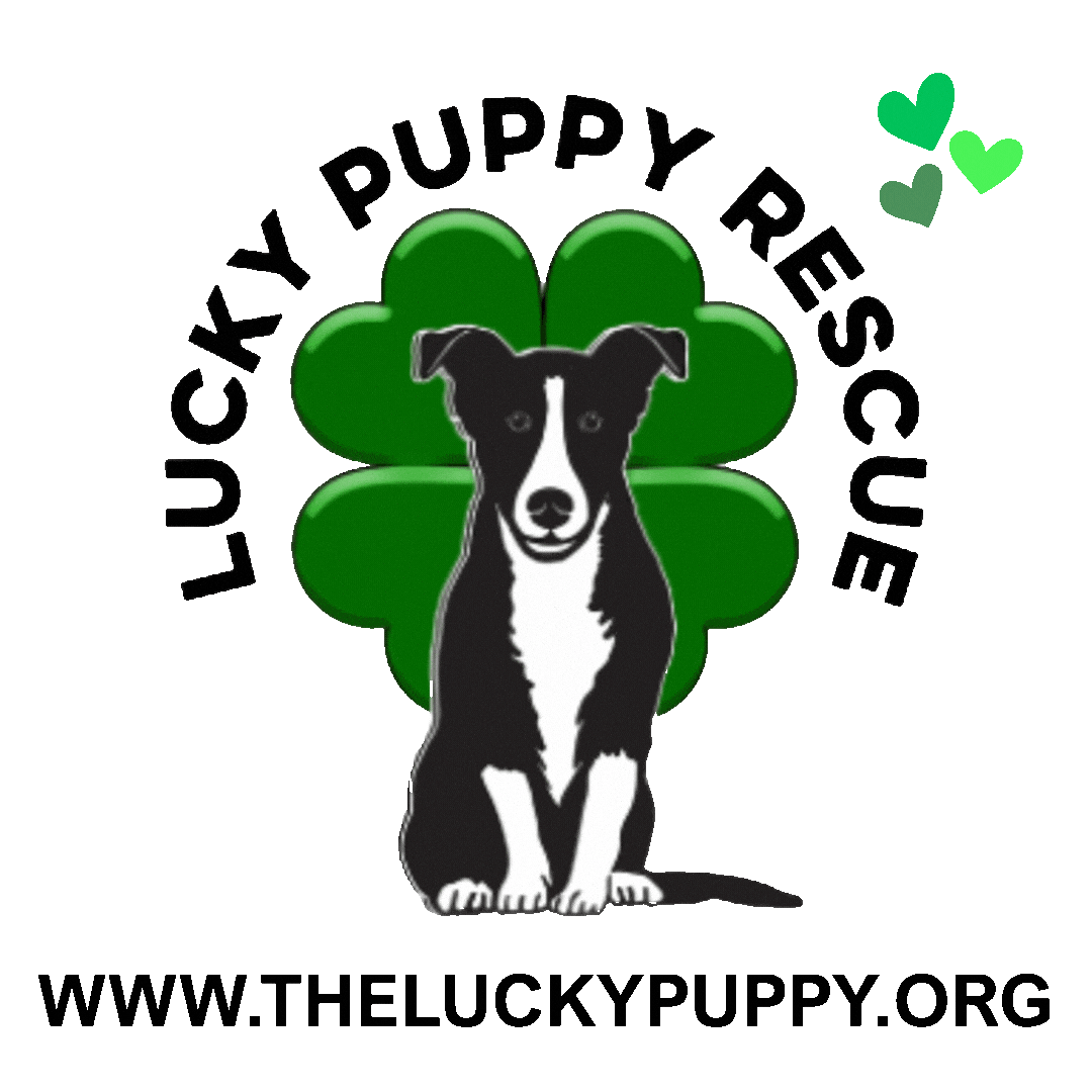 Adopt Me Sticker by Morgan