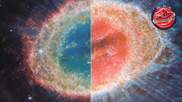 Looking James Webb GIF by ESA Webb Space Telescope