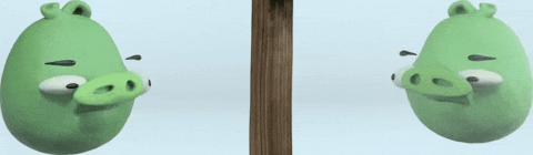 Pig GIF