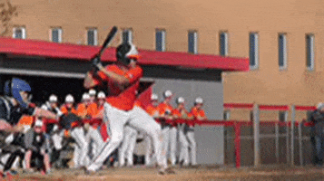 Baseball Orange GIF by Rawlings Tigers