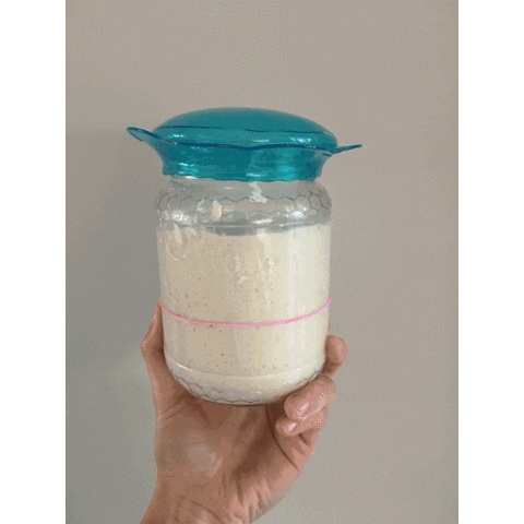 Sourdoughstarter Sticker by Il Mio Pane