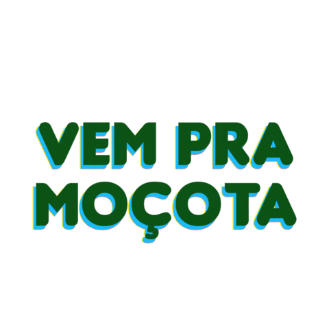 Capivara Cacapava Sticker by Caçapava Oficial