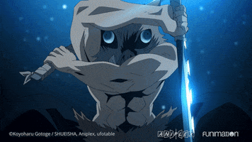 Kimetsu No Yaiba Fight GIF by Funimation