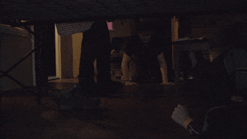 ellismonk5  GIF