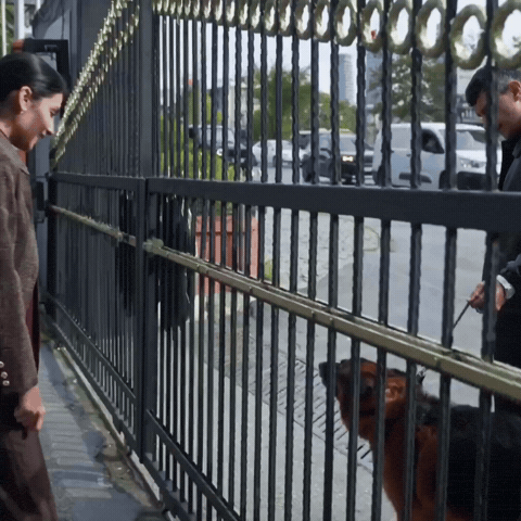 Rojbinerden GIF