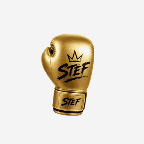 Stefbyfge GIF by fewofigge