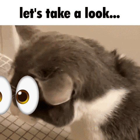 Shark GIF