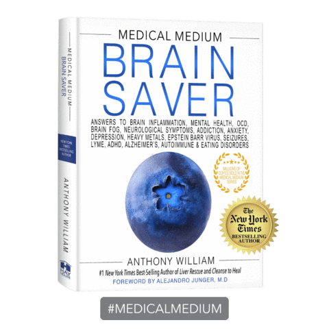 Mental Health Brain Sticker by Medical Medium