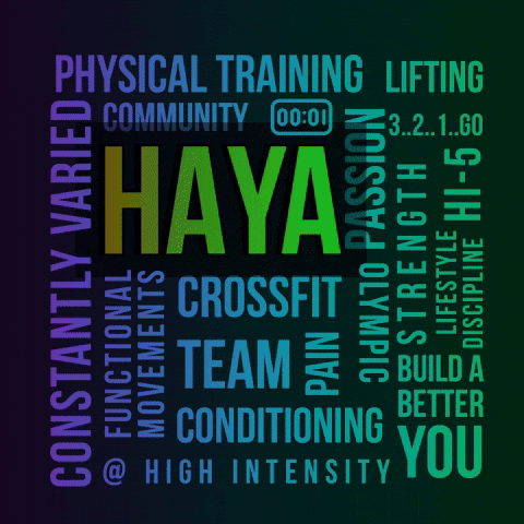HAYA CrossFit GIF