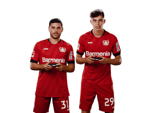 Bayer 04 Fifa GIF by Bayer 04 Leverkusen - Bayer 04 Fifa GIF by Bayer 04 Leverkusen