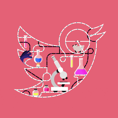 Animation Test GIF by Bullpen