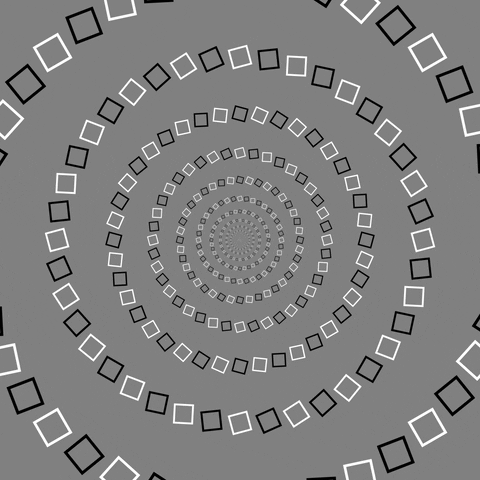 Black And White Circle GIF by Feliks Tomasz Konczakowski