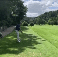 safeteegolf GIF