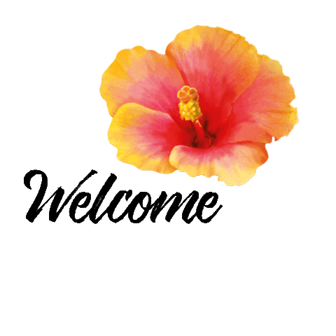 Traveling Welcome To Sticker by Barefoot Communications