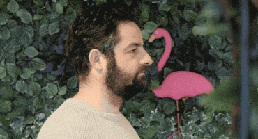 cowsandstars thumbs up great will do pink flamingo GIF