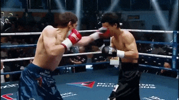 Fight Punch GIF by RCC Sport