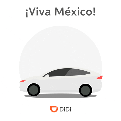 Viva Mexico GIF by DiDi México