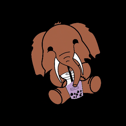 Snoice GIF
