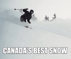 Snow Canada GIF by Sunshine Village