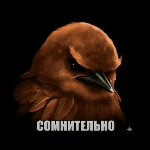 Птица Нет GIF