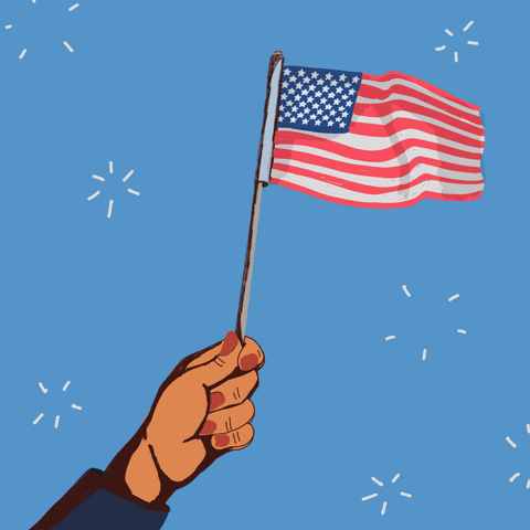 Celebrate Independence Day GIF by BrittDoesDesign