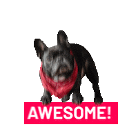 Happy Jump Sticker by Newman Agency