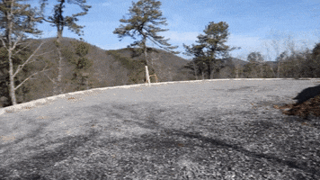 Gravel Dirt Work GIF by JC Property Professionals