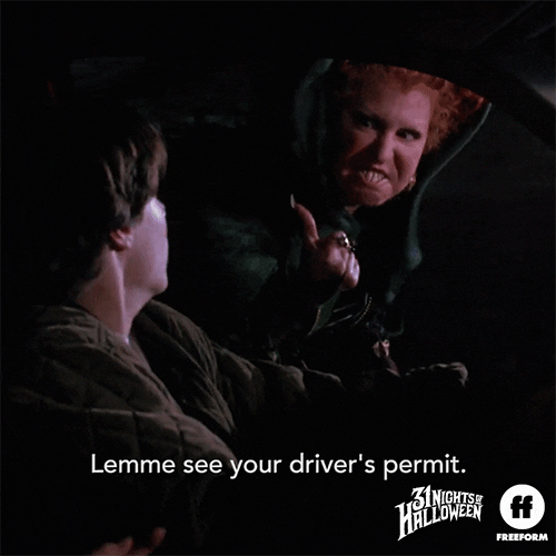 Movie gif. Bette Midler as Winifred and Omri Katz as Max in Hocus Pocus. She flies on a broom as she keeps up with a car on the road and peers into the driver's seat where Max is driving. He looks terrified as he looks at her and back on the road and she says, "Lemme see your driver's permit!"