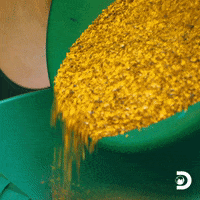 Gold Rush Money GIF by Discovery