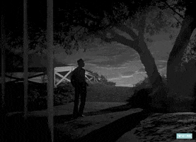 James Stewart Harvey GIF by Turner Classic Movies
