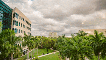 Florida International University School GIF by FIU