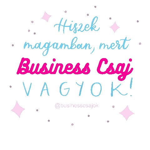 BusinessCsajok Sticker