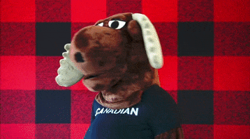 Canadian GIF by choose.ca