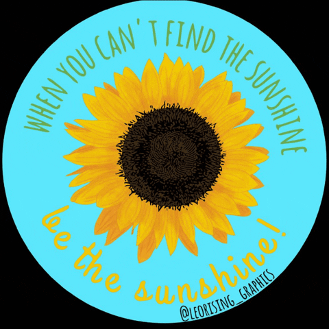 leorising_graphics flower sun sunshine sunflower GIF