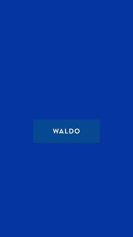 WaldoContacts GIF