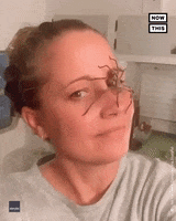 Spider Woman GIF by NowThis