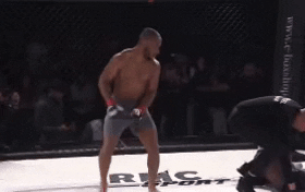 Mma Champion GIF by Old School Academy
