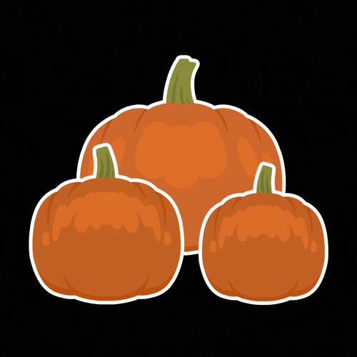 Hallmark Channel Fallharvest Fall Harvest Autumn GIFs Get the best