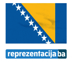 Bosnia GIF by Reprezentacija Ba