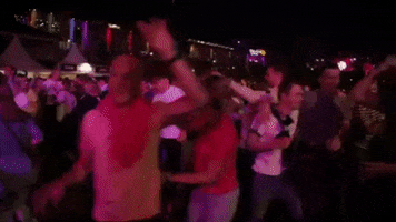 Party 4Daagse GIF by Vierdaagsefeesten