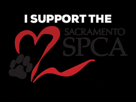 Sspca GIF by Sacramento SPCA