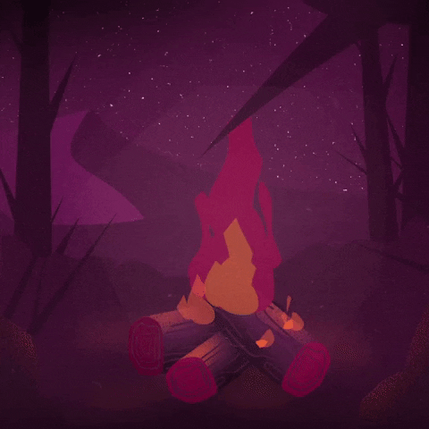 Fire Night GIF by wees