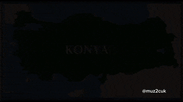 Trent Konya GIF