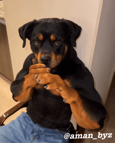 Amanbyz GIF