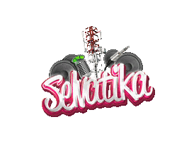 Radio Fiesta Sticker by Selvatika