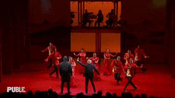 publictheaterny reveal orchestra the public the public theater GIF