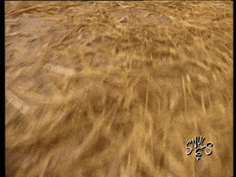 200.gif