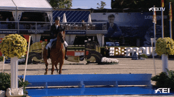 Sport Jump Over GIF by FEI Global